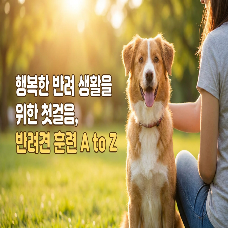 6월. 반려동물 훈련